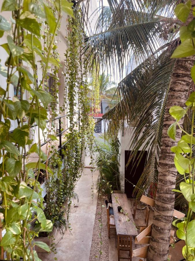 Anana Coliving Ξενοδοχείο Πλάγια Ντελ Κάρμεν Εξωτερικό φωτογραφία