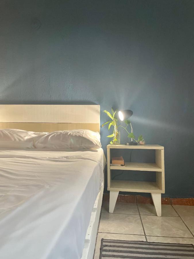 Anana Coliving Ξενοδοχείο Πλάγια Ντελ Κάρμεν Εξωτερικό φωτογραφία