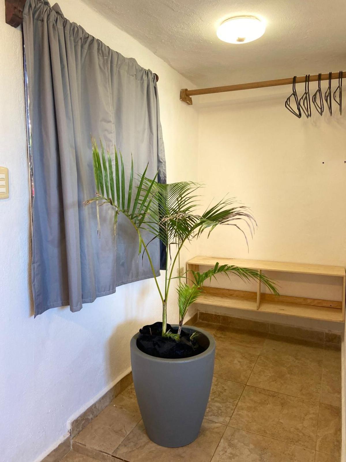 Anana Coliving Ξενοδοχείο Πλάγια Ντελ Κάρμεν Εξωτερικό φωτογραφία