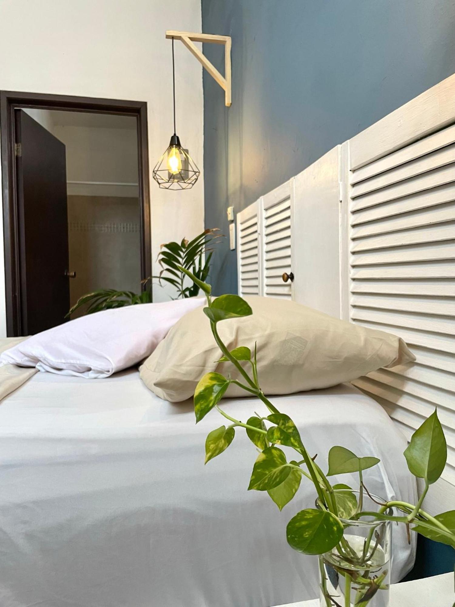 Anana Coliving Ξενοδοχείο Πλάγια Ντελ Κάρμεν Εξωτερικό φωτογραφία